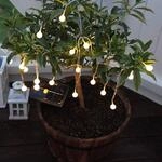 Warmwei&szlig; leuchtende LED-Solar-Lichterkette Globini
