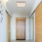 LED-Deckenlampe Doro, L&auml;nge 30 cm, holz dunkel, Holz