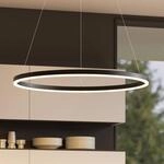 Arcchio LED-H&auml;ngeleuchte Albiona, schwarz, 1 Ring, &Oslash; 80 cm