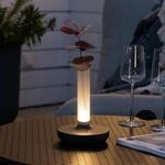 LED-Tischleuchte Biarritz IP54 Akku, CCT, schwarz
