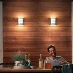 Philips LED-Au&szlig;enwandleuchte Python UE, grau, Sensor
