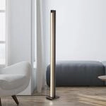 LED-Stehlampe PURE Lines Floor, oak/graphite, CCT, 140 cm