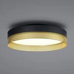 LED-Deckenleuchte Mesh, &Oslash; 45 cm, schwarz/gold