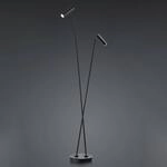 LED-Stehleuchte Tom, 2-flammig, schwarz