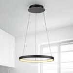 Paul Neuhaus LED-H&auml;ngelampe Hoop, schwarz, &Oslash; 57 cm, dimmbar
