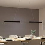 Paulmann LED-H&auml;ngelampe Aptare, schwarz, Sensor, dimmbar