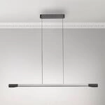Paul Neuhaus LED-H&auml;ngelampe Hoop, alufarben, 128 cm, dimmbar