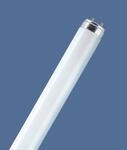 OSRAM Leuchtstoffr&ouml;hre LUMILUX, G13 T8, 150 cm 6.500 K 58 W