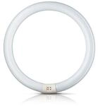G10q 32W 840 Leuchtstoffring Master Circular TL-E