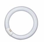 G10q 32W 840 Lumilux T9C Leuchtstoffring