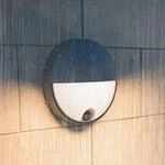 Philips LED-Au&szlig;enwandleuchte Capricorn UE, Sensor, IP44