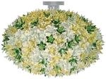Kartell Bloom C1 LED-Deckenleuchte G9, minze