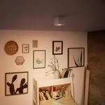 Philips myLiving Box LED-Spot einflammig wei&szlig;