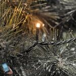 &Uuml;ber App schaltbare LED-Au&szlig;en-Lichterkette Micro