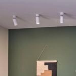 Paulmann LED-Deckenlampe Turnal Coin wei&szlig;, 3-step-dim 2.700K