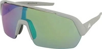 ALPINA Turbo HR A8712 322 127 smoke grey matt / green mirror