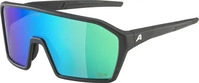 ALPINA Ram Q-Lite A8673 033 135 black matt / green mirror