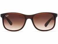 Ray Ban Andy RB4202 607313 55 matte brown / brown gradient