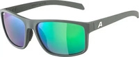 ALPINA Nacan I P A8739 522 60 midnight-grey / green mirror polarized
