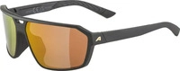 ALPINA Swift A8743 331 65 black gold matt / gold mirror