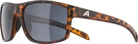 ALPINA NACAN I A8649 491 60 havana gloss / black