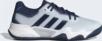 Adidas IH0128, Adidas Solematch Control 2 Sandplatzschuh Herren - hellgrau,