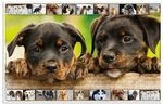Herma Schreibtischunterlagen &raquo;Hunde&laquo;, 55x35 cm