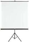 Hama Leinwand mit Stativ 155 x 155 cm, 15.5x15.5 cm