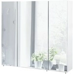 M&ouml;belpartner Spiegelschrank &raquo;Basic&laquo; 80 cm wei&szlig;, 80x70.7x16 cm