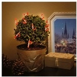 goobay 10er LED-Lichterkette &raquo;Zuckerstange&laquo;
