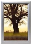 Franken Wechselrahmen &raquo;Outdoor BS1703&laquo; silber, 45x62.4 cm
