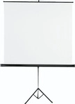 Hama 00021573, Hama Leinwand mit Stativ 180 x 180 cm, 180x180 cm