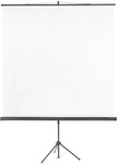 Franken Stativ-Leinwand &raquo;X-tra! Line&laquo; 180x180 cm schwarz