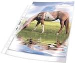 Durable Prospekth&uuml;llen A4 glasklar - 50 St&uuml;ck transparent