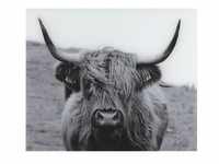 Glasrückwand »Highland Cattle« weiß, Wenko