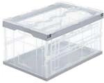 relaxdays Transparente Transportbox mit Deckel grau, 59.5x31.5x39.5 cm