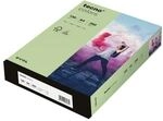 tecno Farbige Papiere &raquo;tecno Colors&laquo; gr&uuml;n