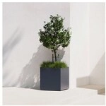 Herstera Pflanzk&uuml;bel &raquo;Cube&laquo; 125 Liter, 50 cm