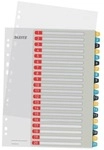 Leitz Kunststoffregister &raquo;Cosy&laquo; 1-20 A4 &Uuml;berbreite, 30.5 cm