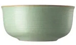 Rosenthal Thomas Nature Leaf Sch&uuml;ssel 24cm