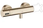 Dornbracht Brause-Thermostat f&uuml;r Wandmontage - Champagne geb&uuml;rstet (22kt Gold)