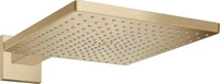 Hansgrohe 26238140, Hansgrohe Raindance E Kopfbrause 300 1jet mit Brausearm, Brushed