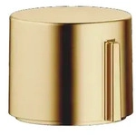 Dornbracht Exzenterbet&auml;tigung SERIENNEUTRAL Messing geb&uuml;rstet (23kt Gold),