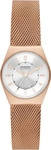 Uhr Skagen Grenen SKW3035 Goldfarben Female