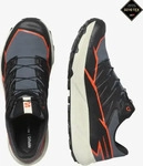 Laufschuhe Salomon Thundercross Gore-Tex L47684500 Grau Male