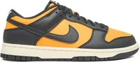 Sneakers Nike Dunk Low Retro HF5441 700 Orange Male