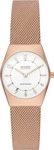 Uhr Skagen SKW3078 Goldfarben Female