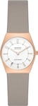 Uhr Skagen SKW3079 Goldfarben Female