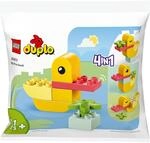 Meine erste Ente