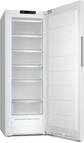 FN 4342 D Gefrierschrank